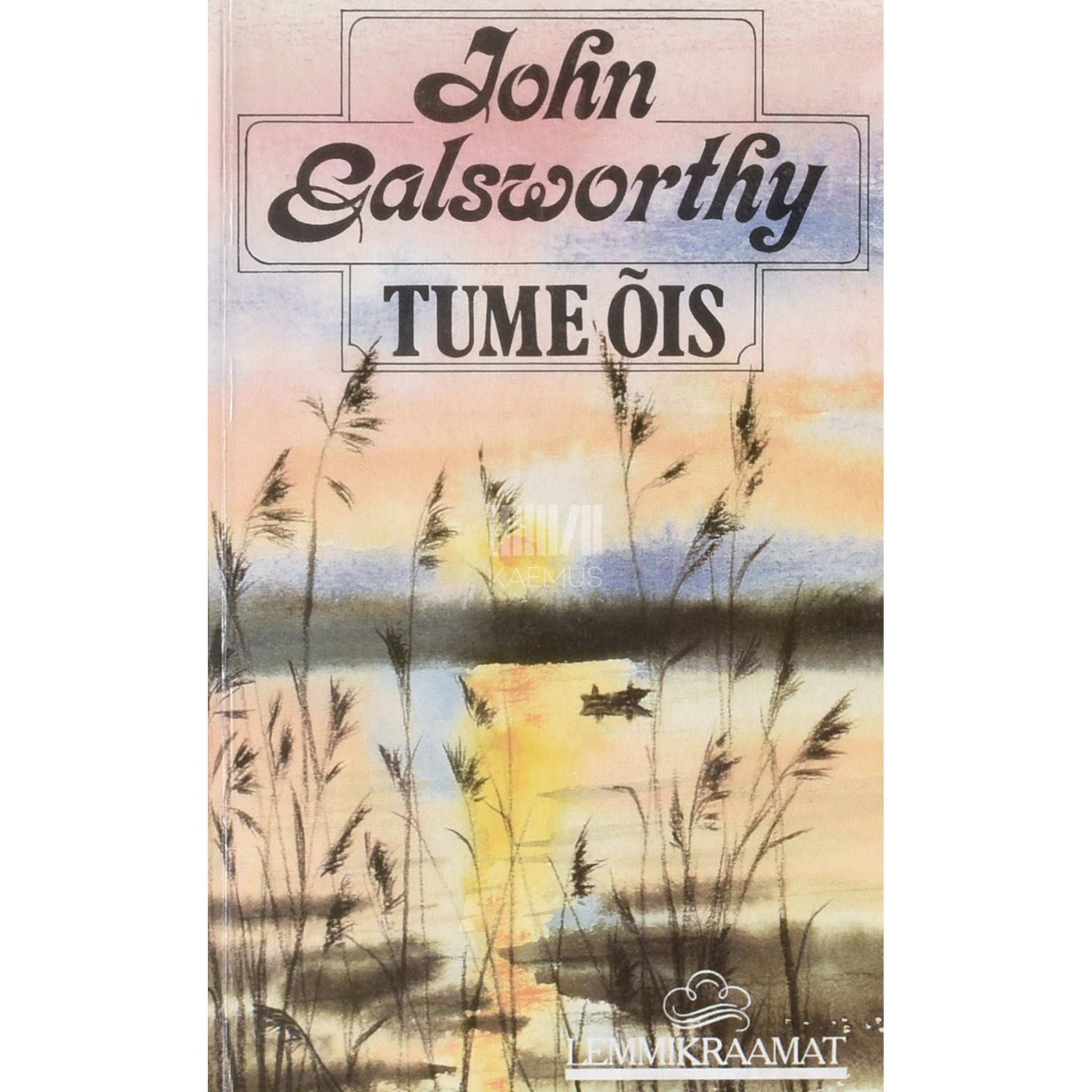 John Galsworthy - Tume õis