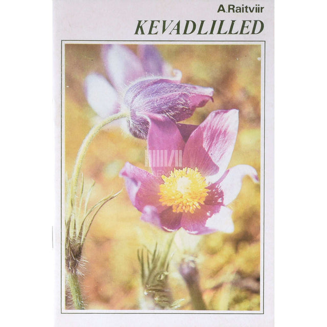 Ain Raitviir - Kevadlilled