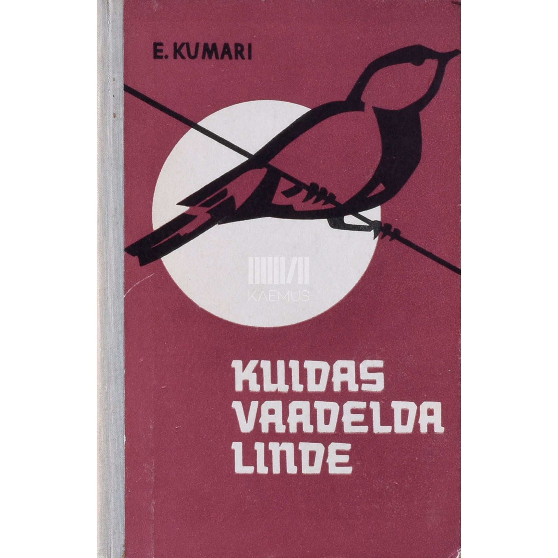 Eerik Kumari - Kuidas vaadelda linde