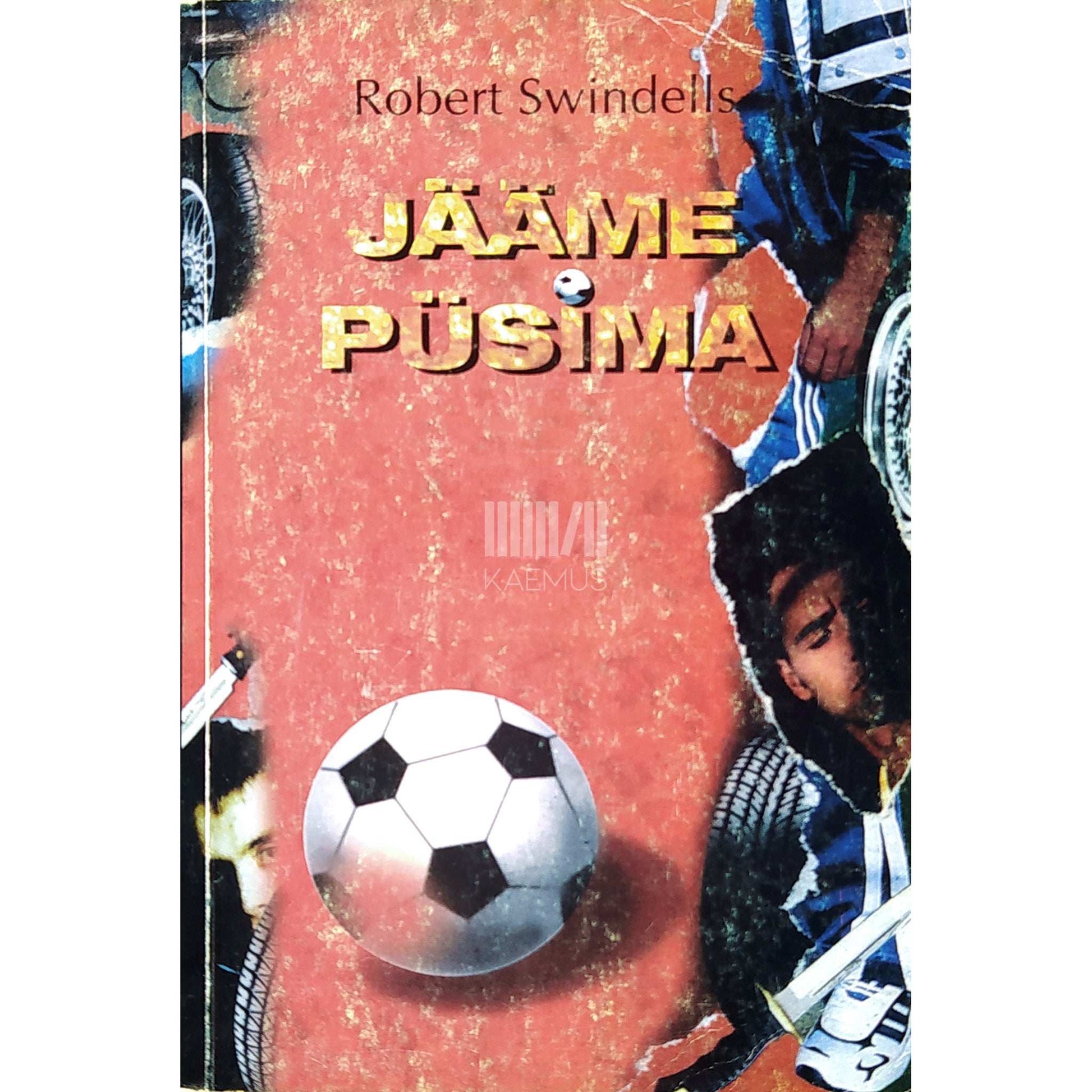 Robert Swindells - Jääme püsima