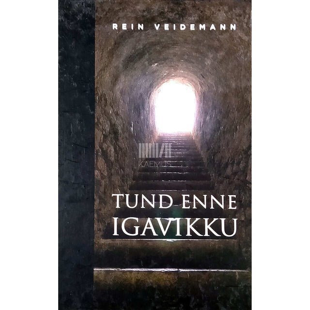 Rein Veidemann - Tund enne igavikku. Romaan kolmes vaatuses