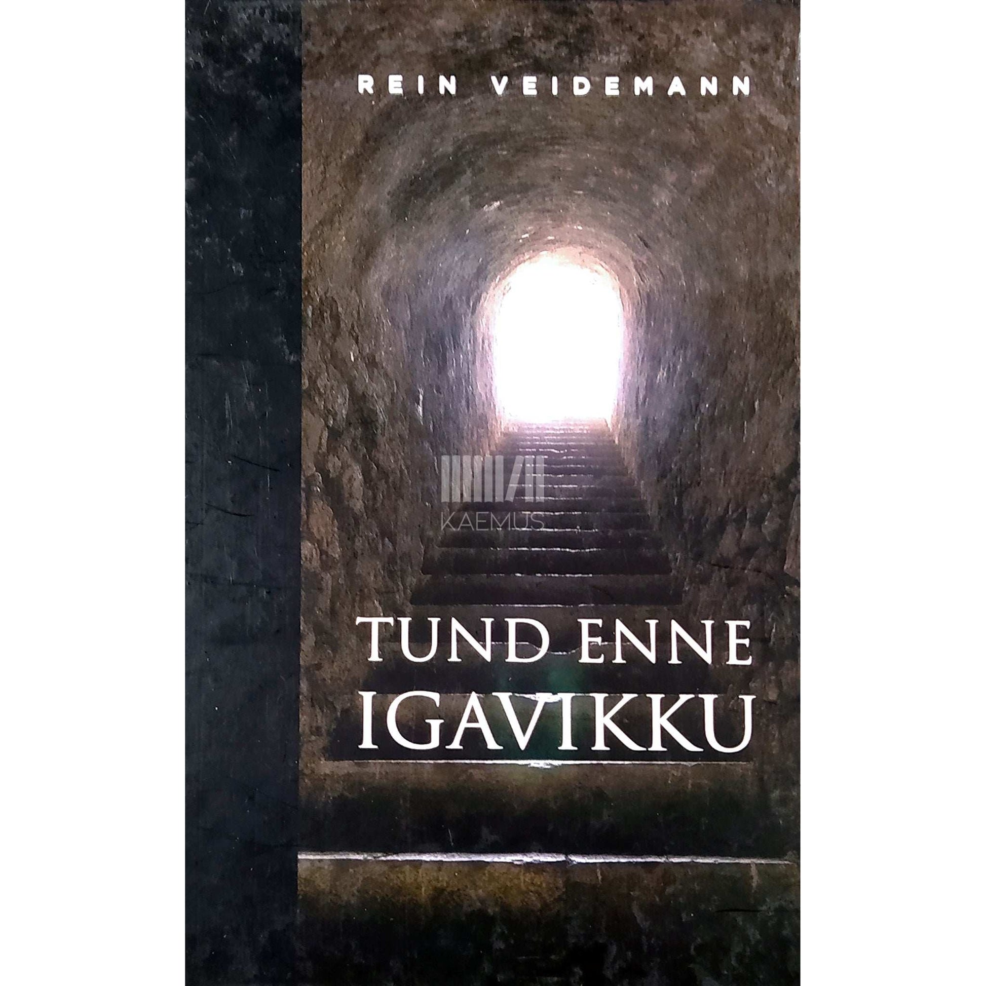 Rein Veidemann - Tund enne igavikku. Romaan kolmes vaatuses