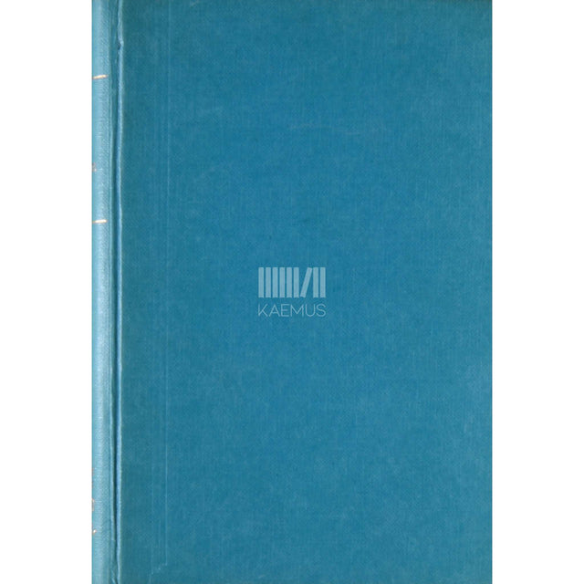 Helmi Mäelo - Homne päev