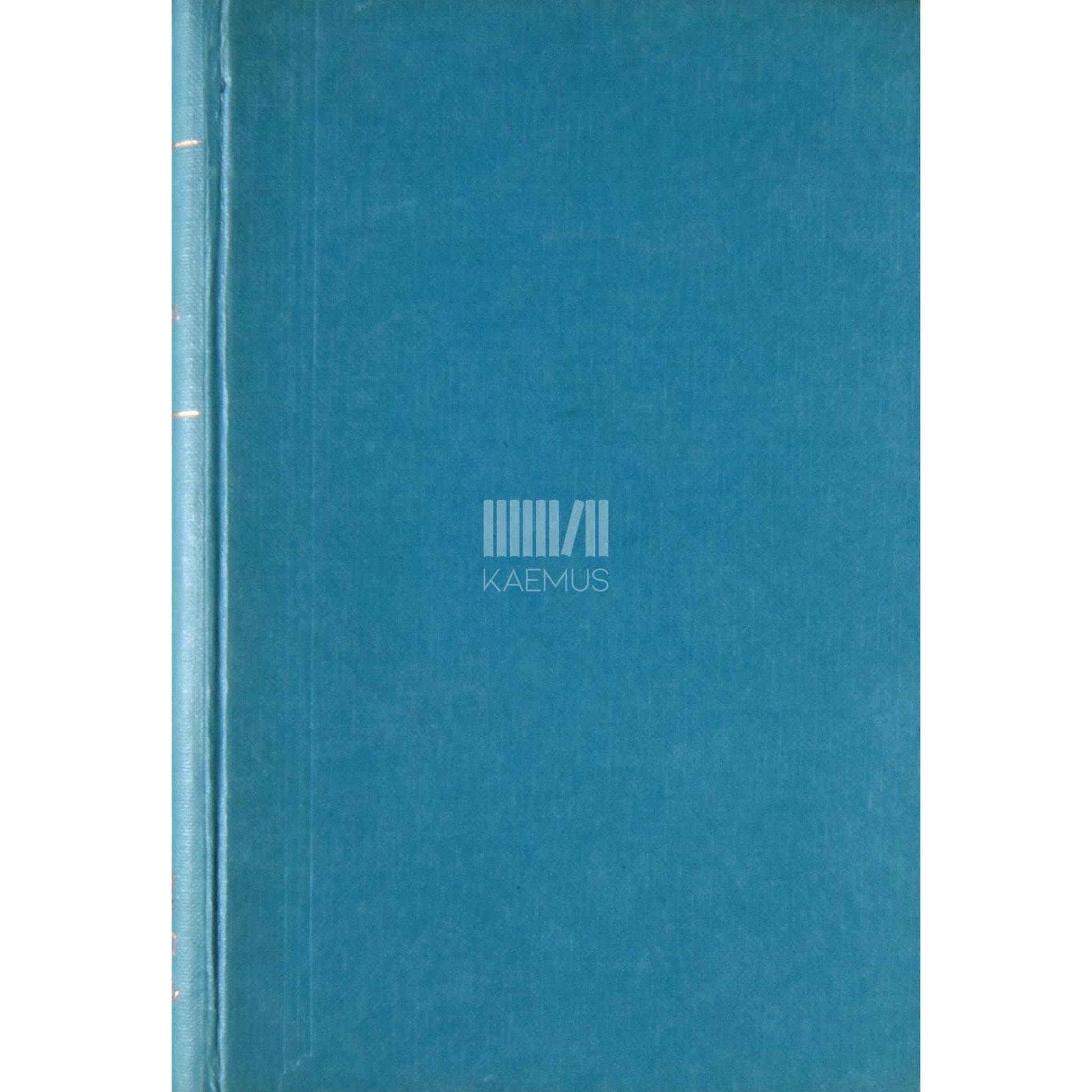 Helmi Mäelo - Homne päev