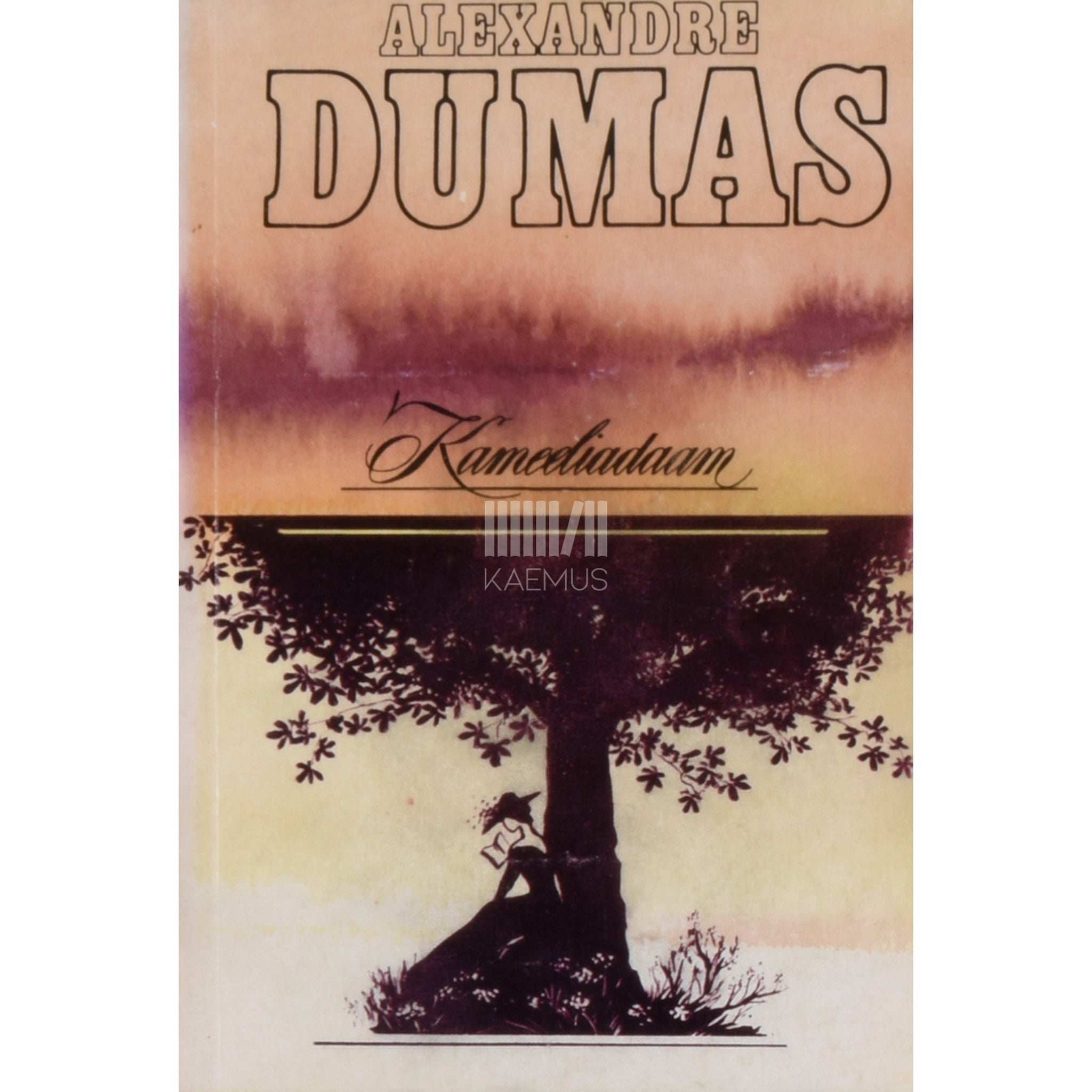 Alexandre Dumas noorem Kameeliadaam