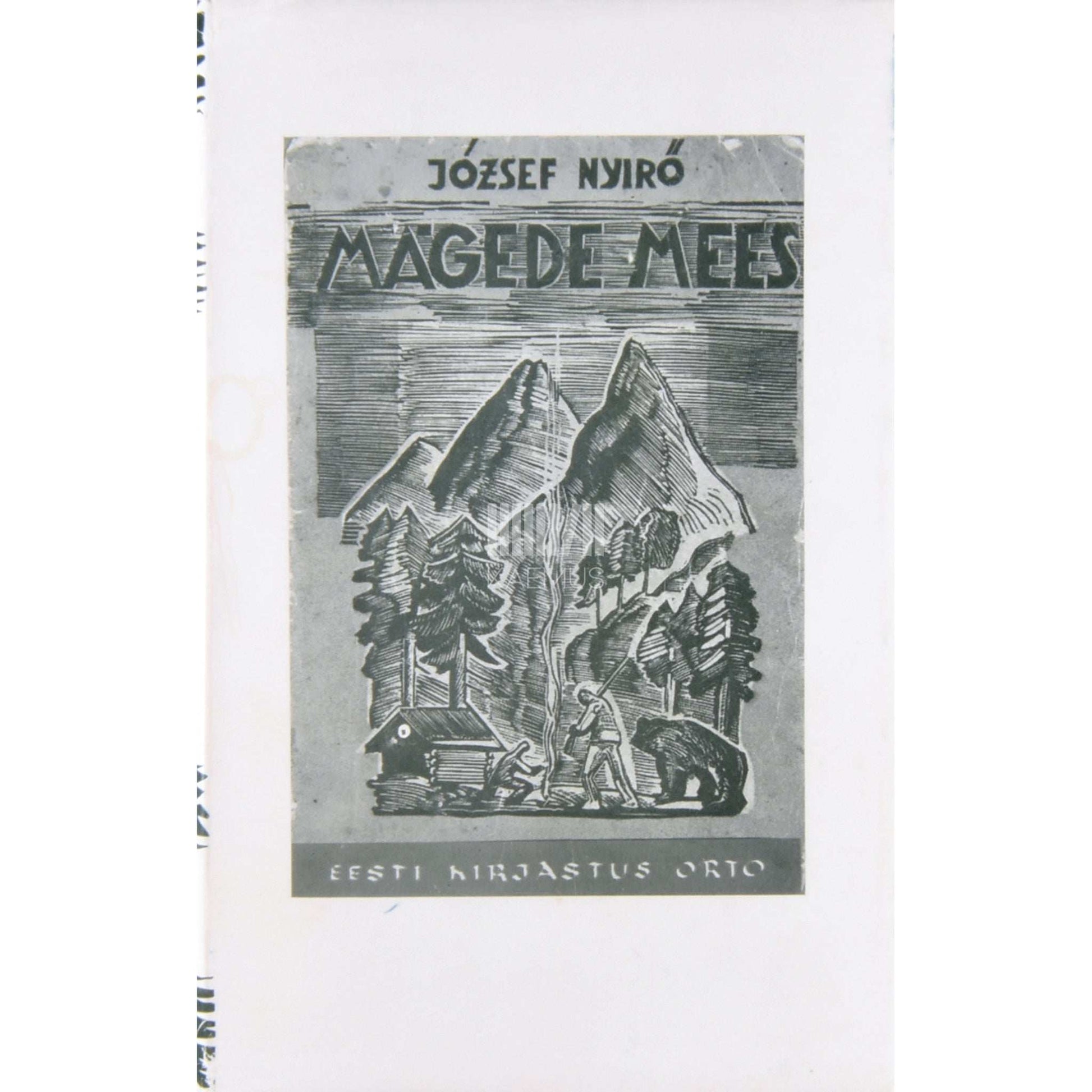 József Nyìrö - Mägede mees