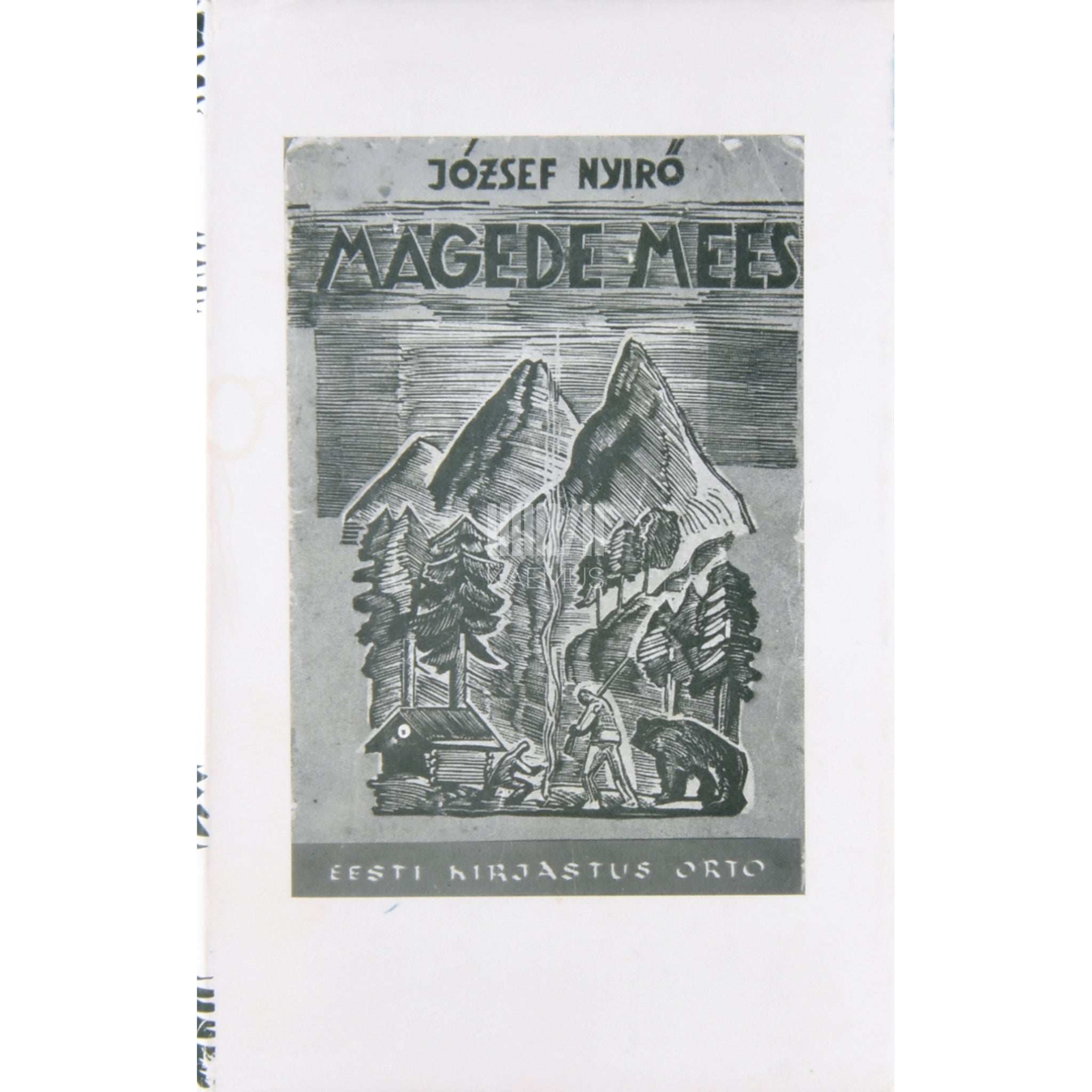 József Nyìrö Mägede mees