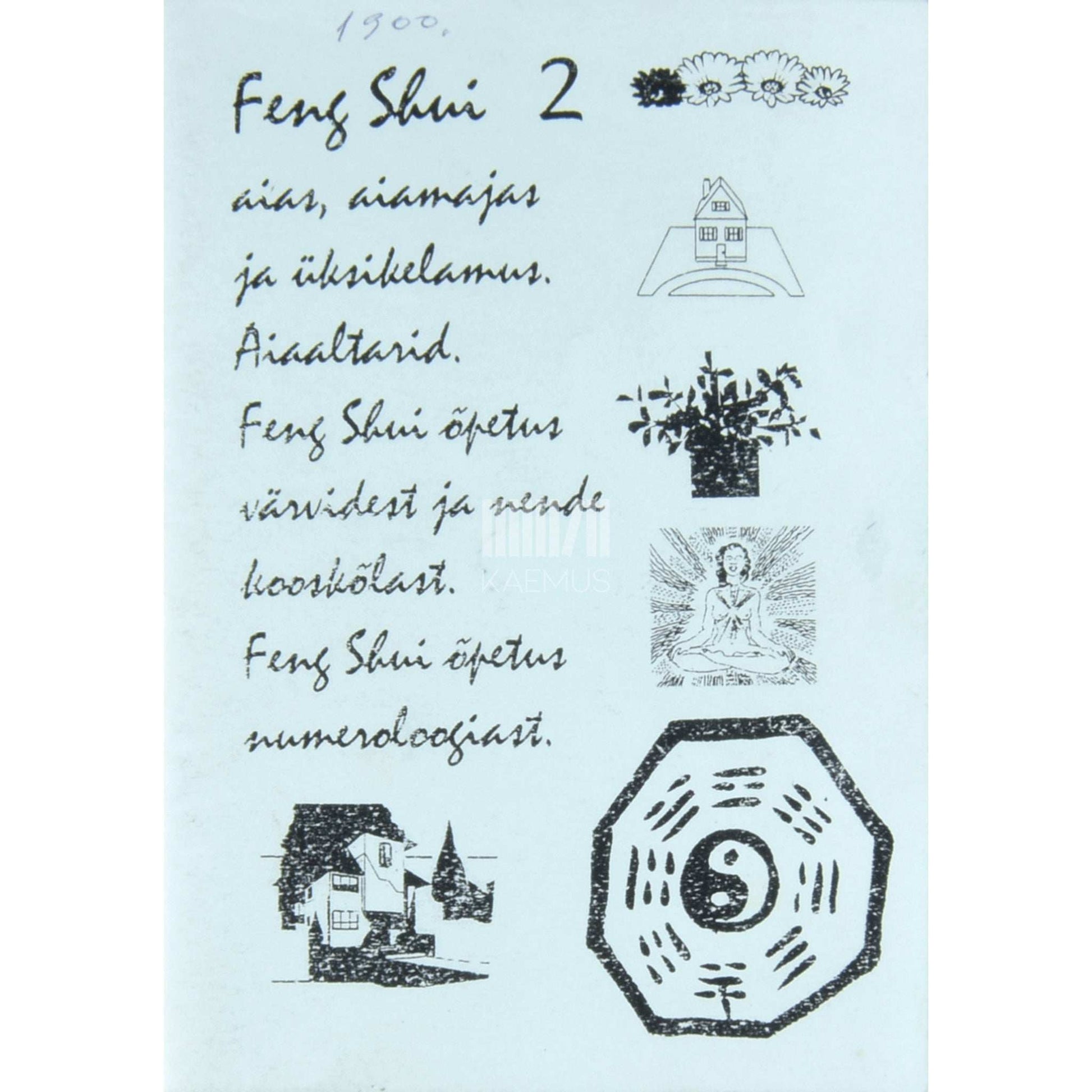 Luise Hein - Feng shui 2. osa. Aias, aiamajas ja üksikelamus