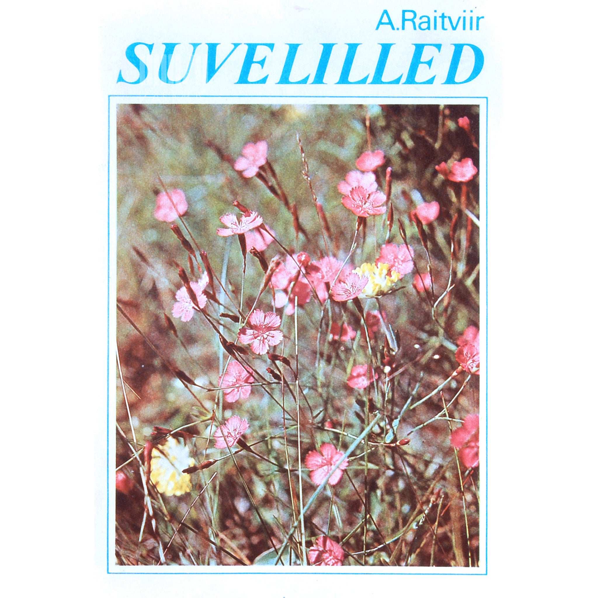 Ain Raitviir Suvelilled