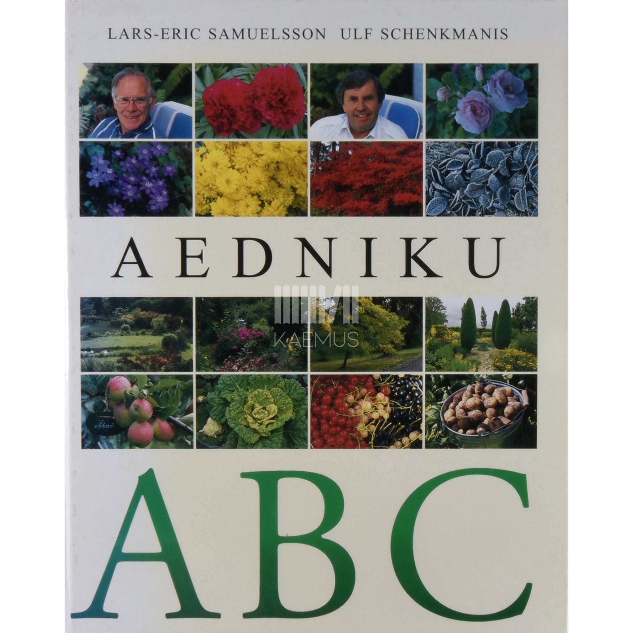 Lars-Eric Samuelsson, Ulf Schenkmanis Aedniku ABC