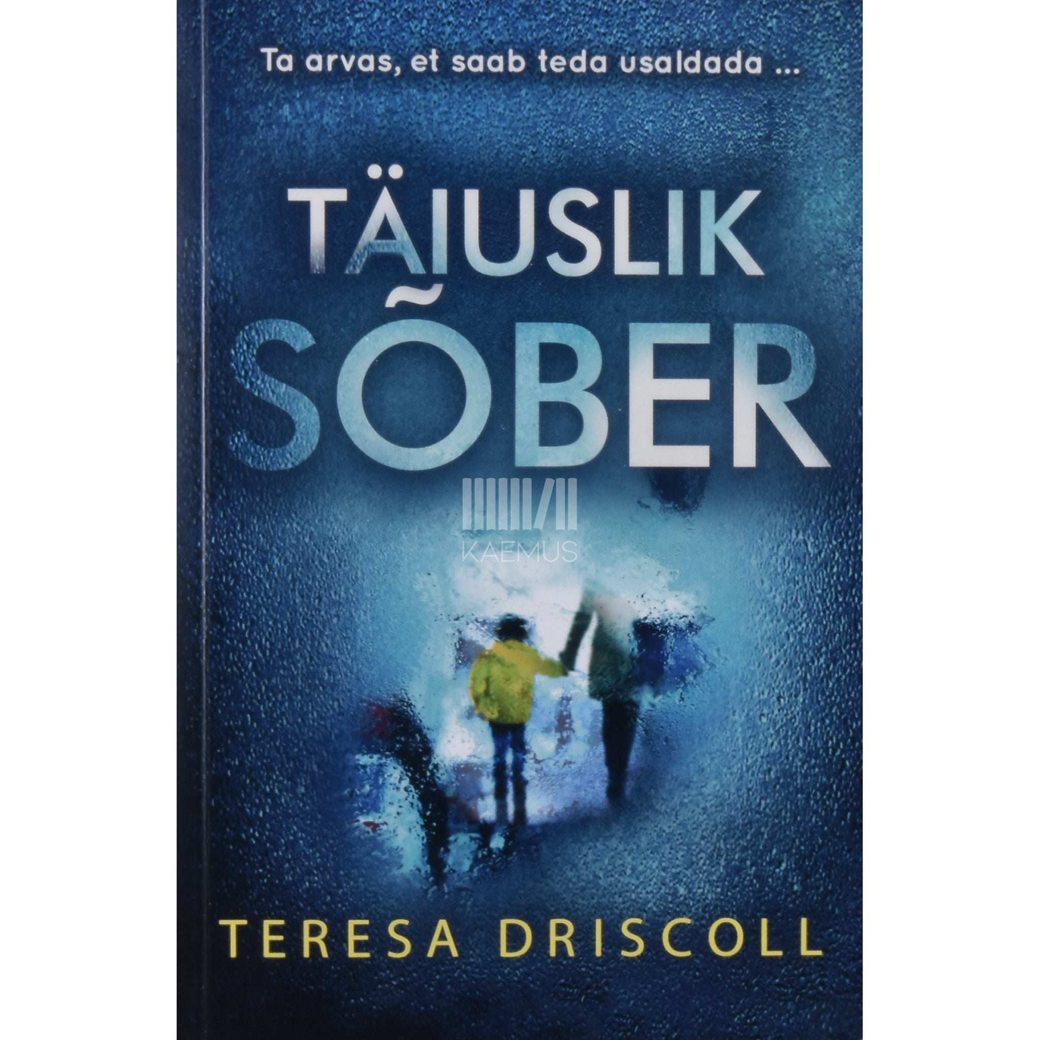Teresa Driscoll Täiuslik sõber