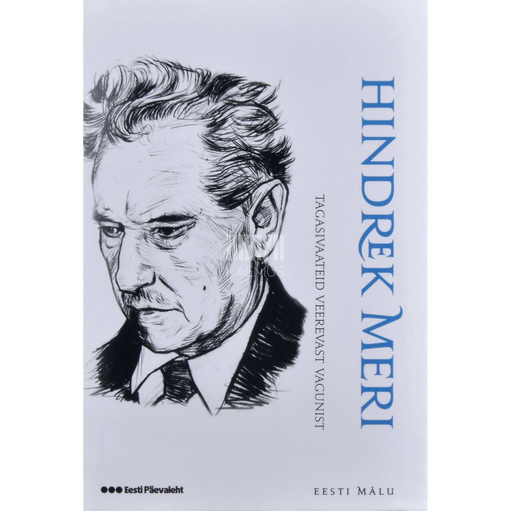 Hindrek Meri - Tagasivaateid veerevast vagunist