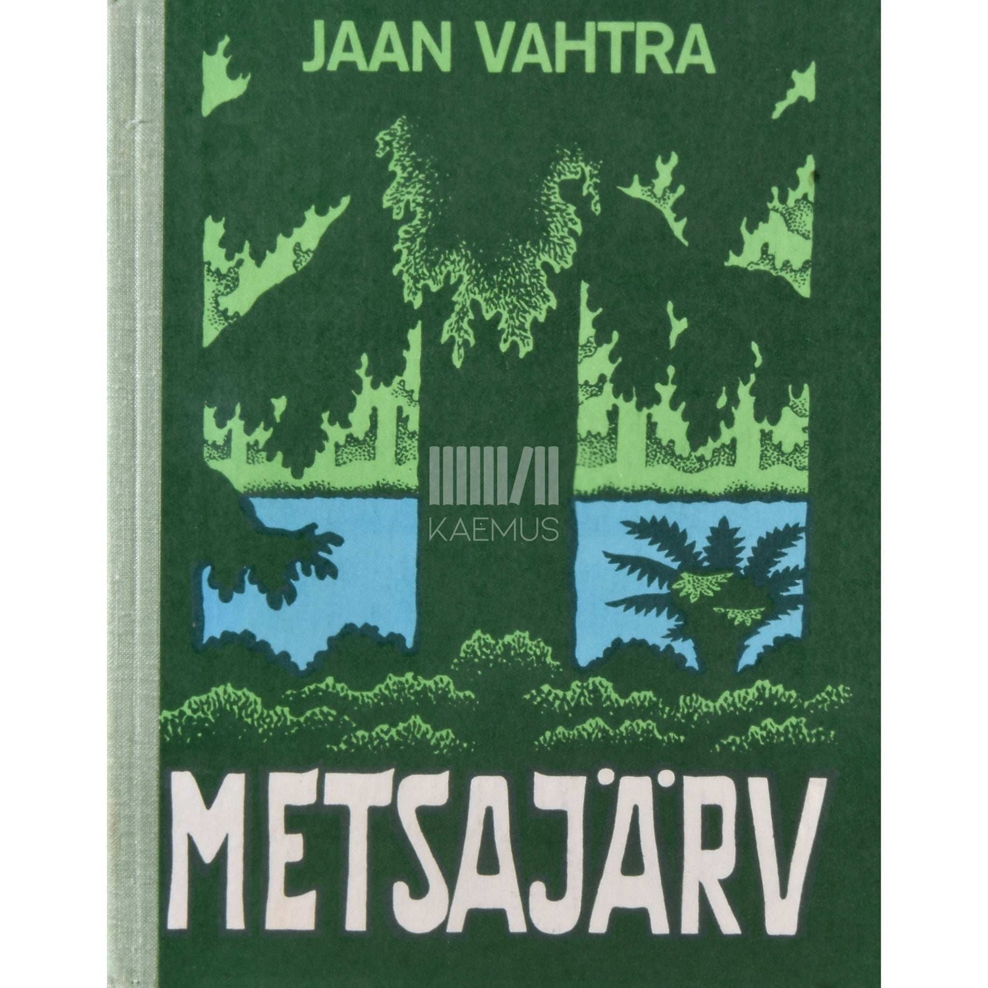 Jaan Vahtra - Metsajärv