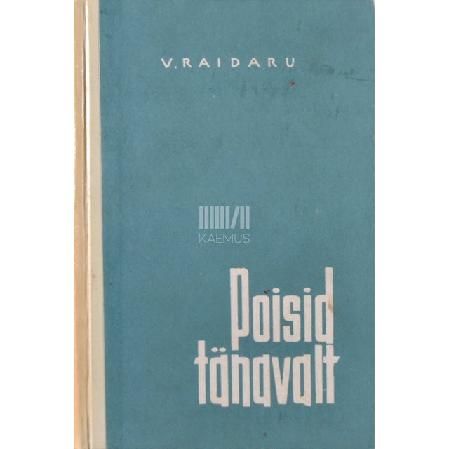 Voldemar Raidaru - Poisid tänavalt