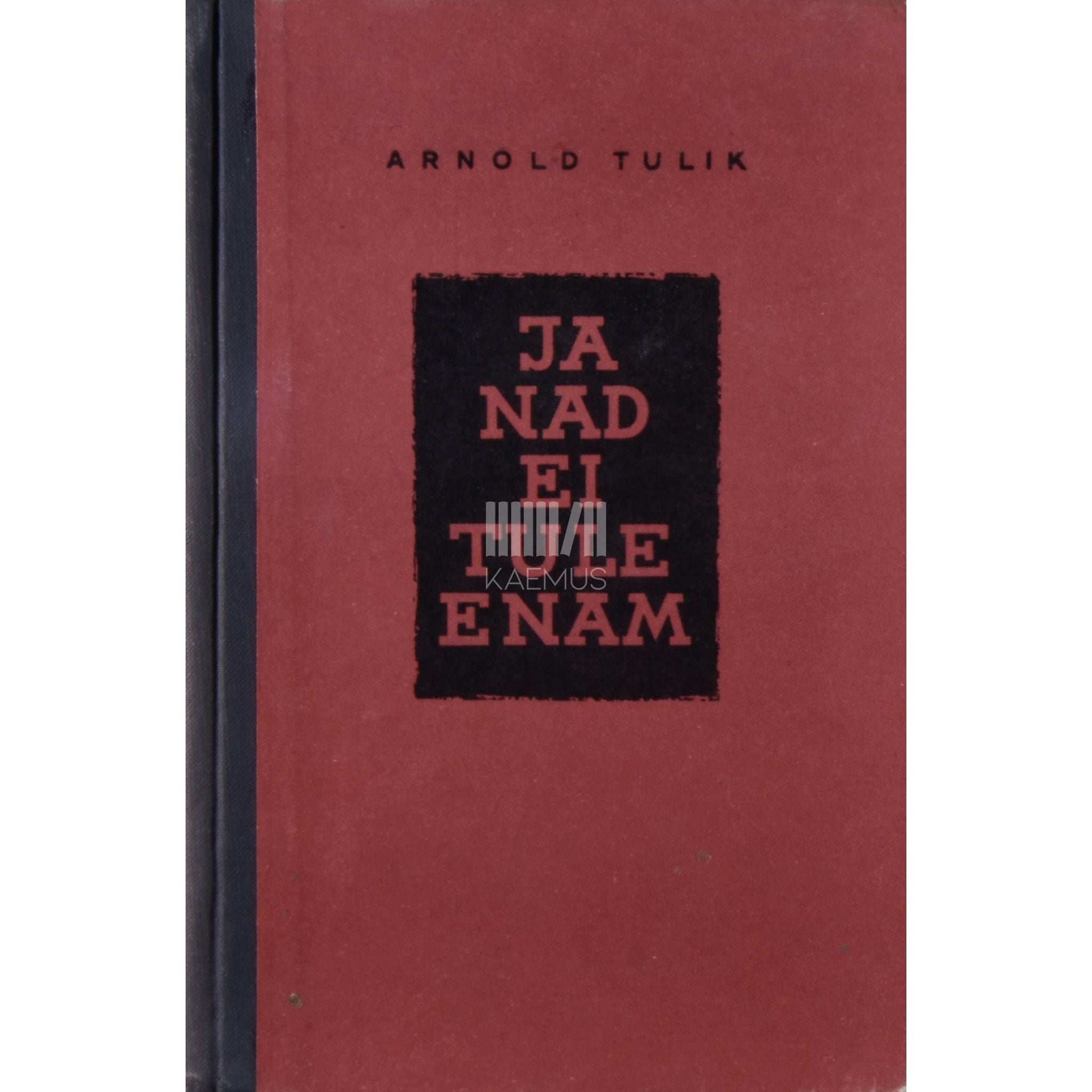 Arnold Tulik - Ja nad ei tule enam