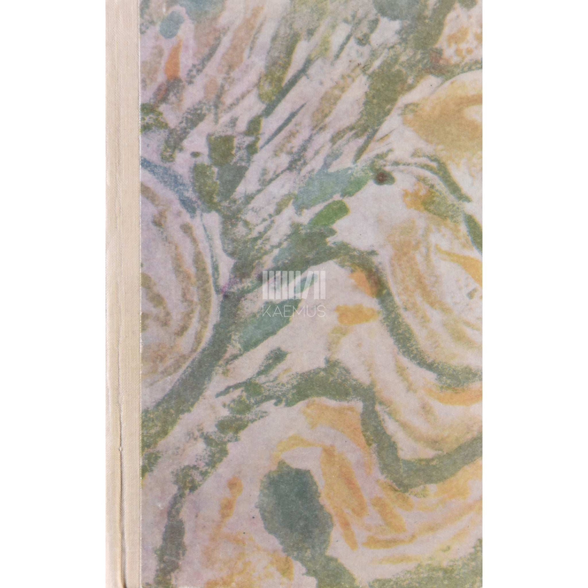 Irving Stone - Elujanu. Jutustus Vincent van Goghist