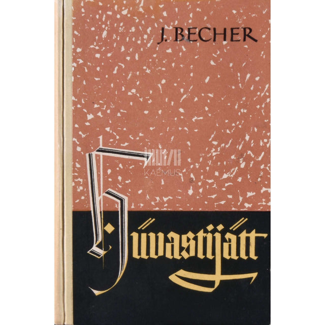 Johannes Robert Becher - Hüvastijätt. Esimene osa ühest saksa tragöödiast. 1900-1914. romaan