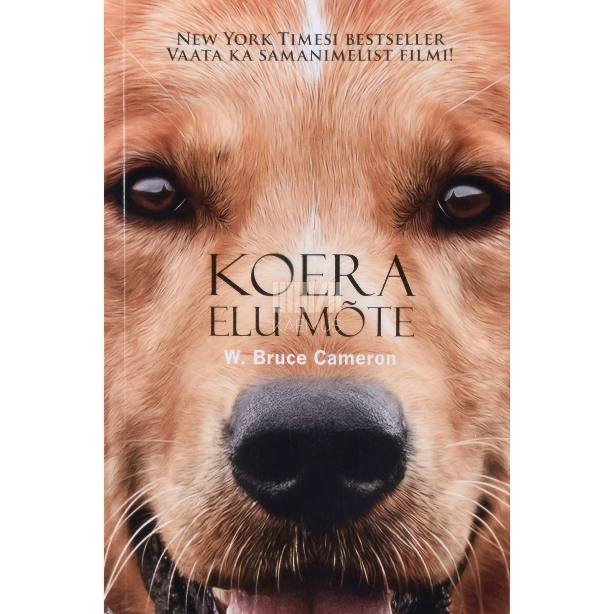 W. Bruce Cameron Koera elu mõte