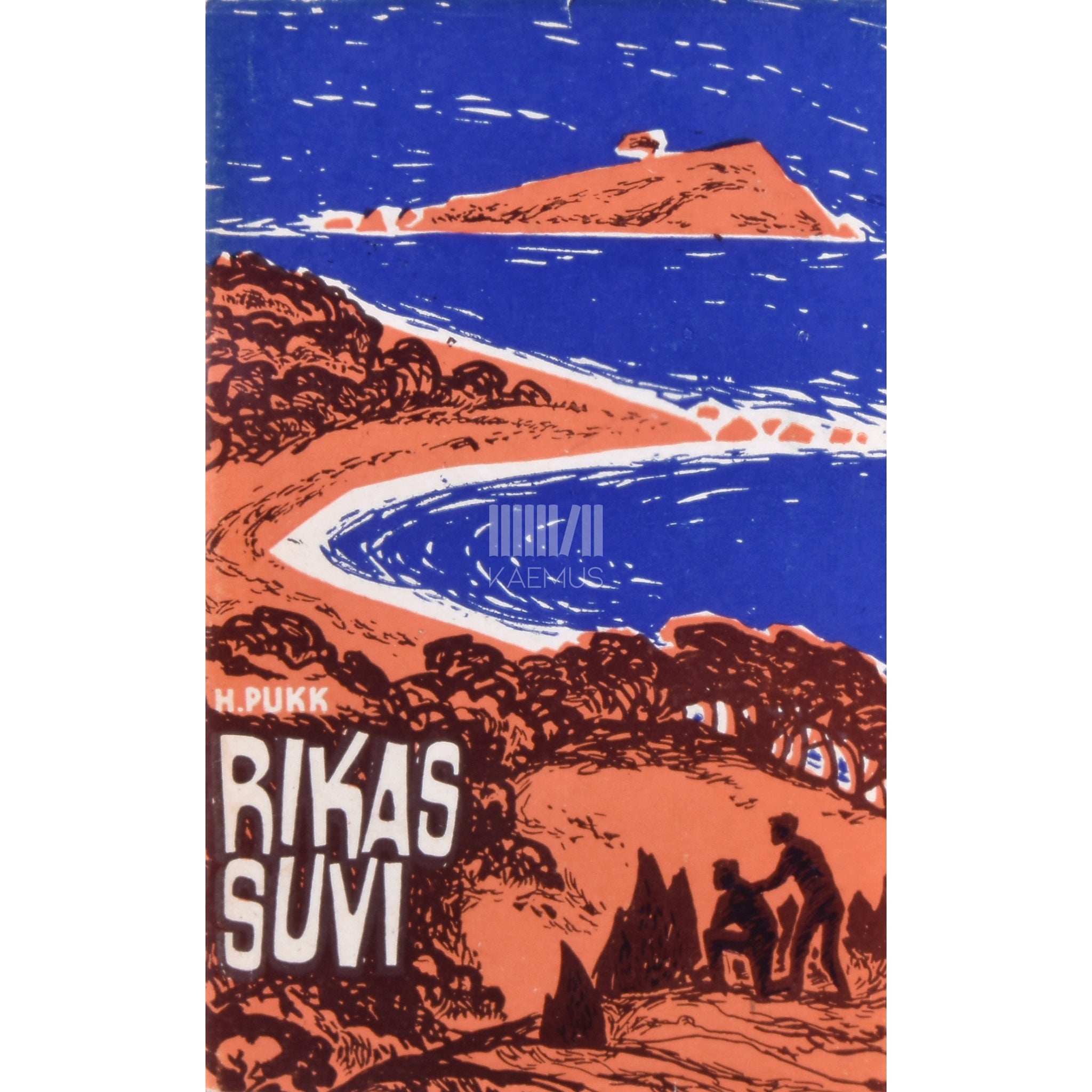 Holger Pukk Rikas suvi