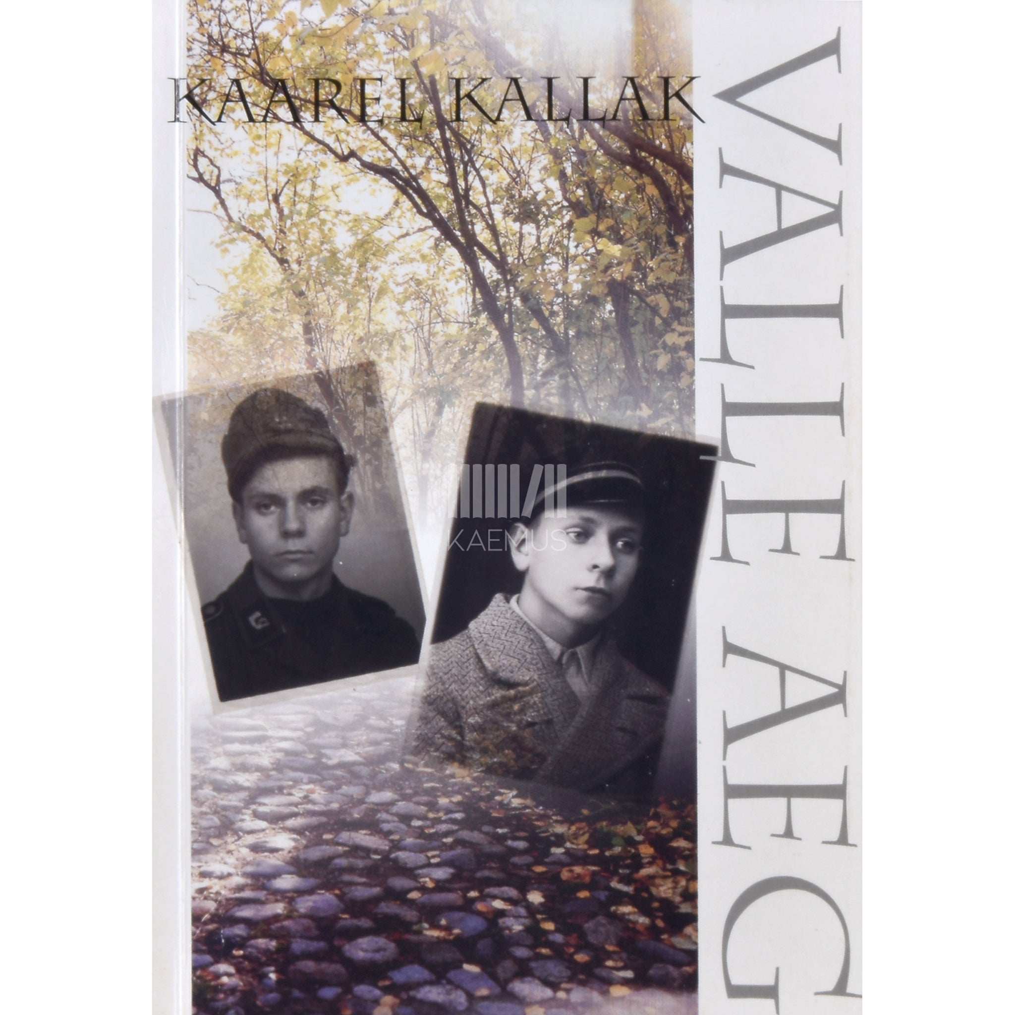 Kaarel Kallak Valle aeg. Maailm ja mõnda