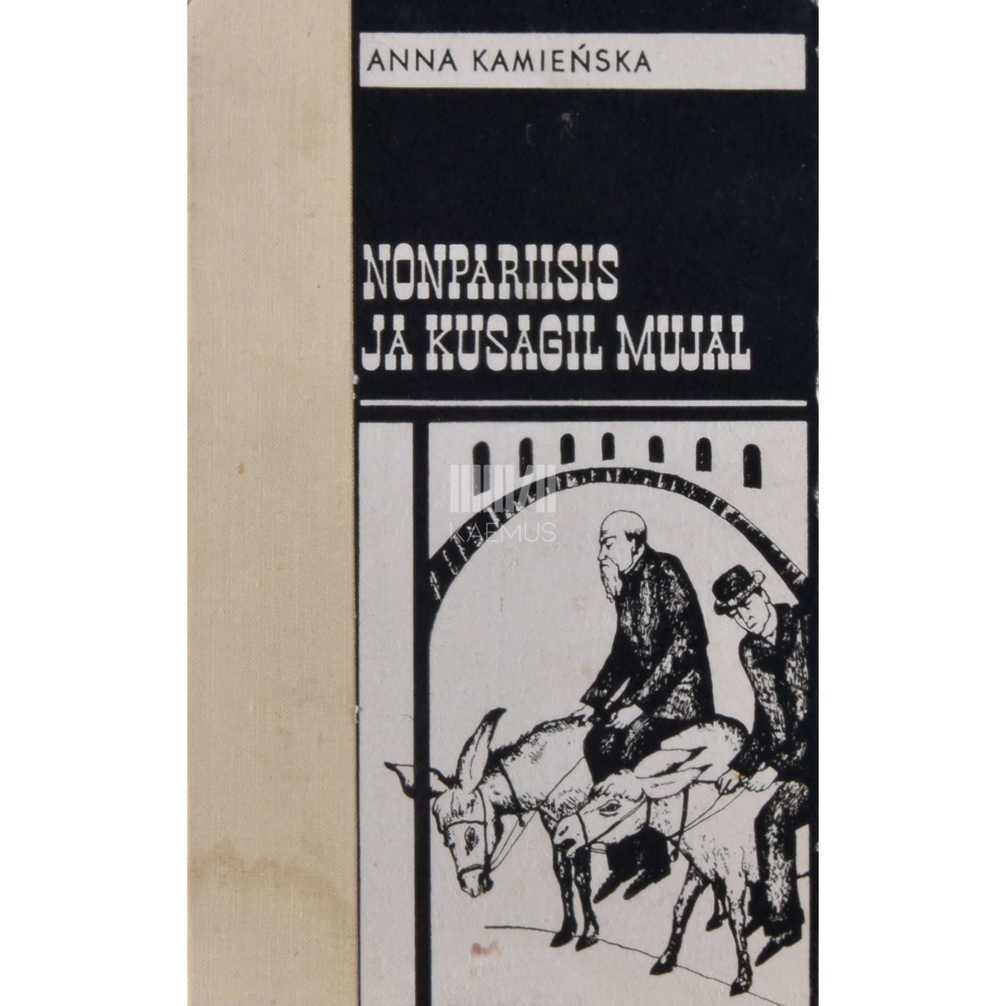 Anna Kamienska Nonpariisis ja kusagil mujal