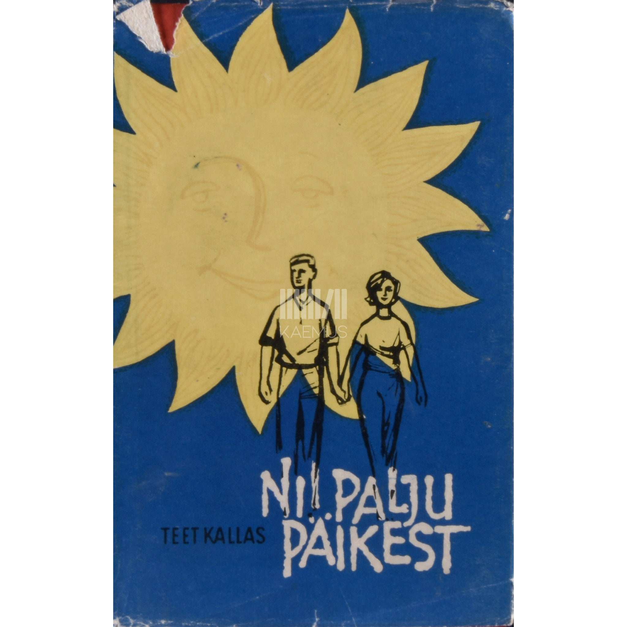 Teet Kallas Nii palju päikest