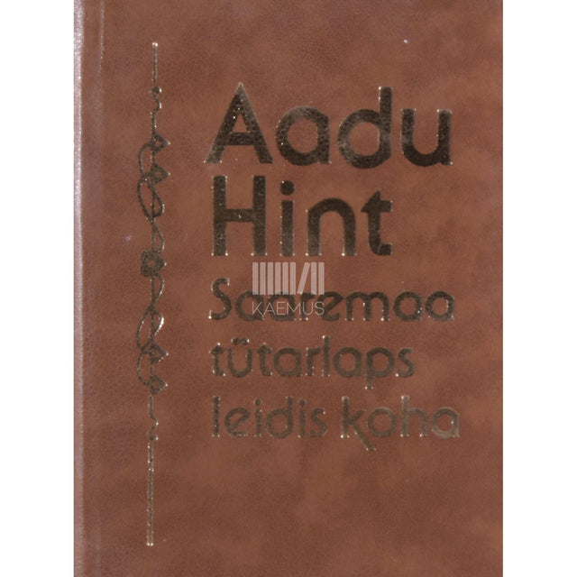 Aadu Hint - Saaremaa tütarlaps leidis koha. Jutud, näidend