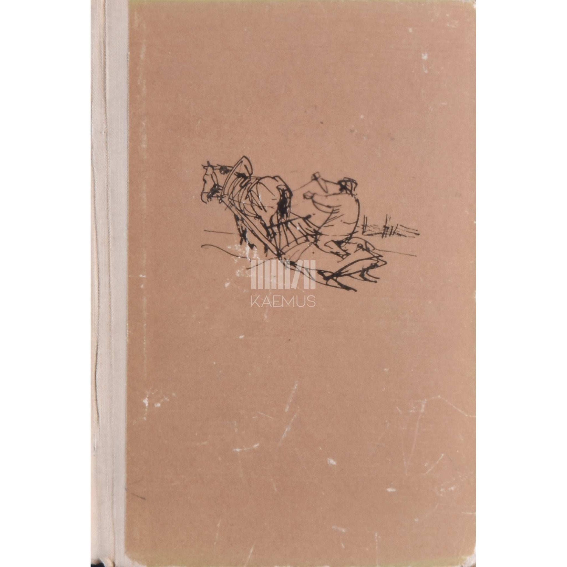 Eduard Vilde - Külmale maale