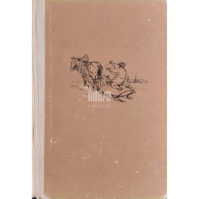 Eduard Vilde Külmale maale