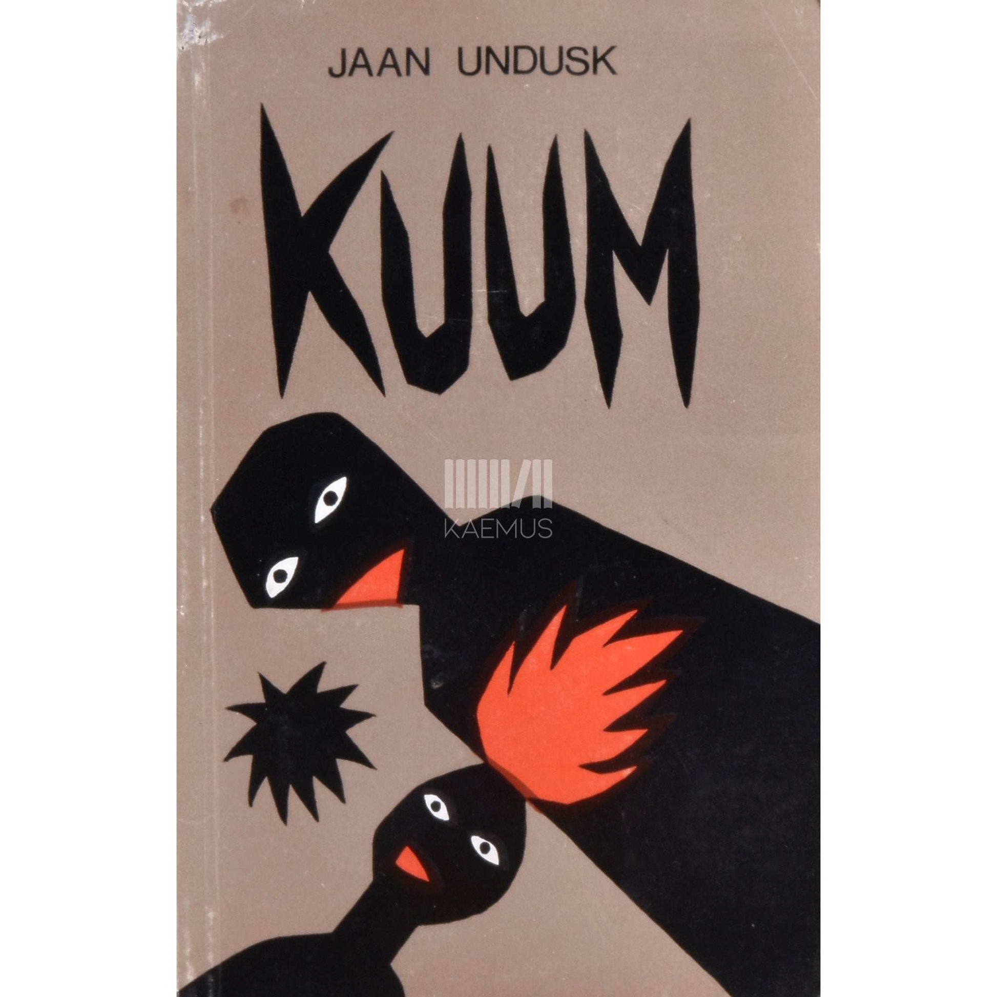 Jaan Undusk - Kuum lugu noorest armastusest