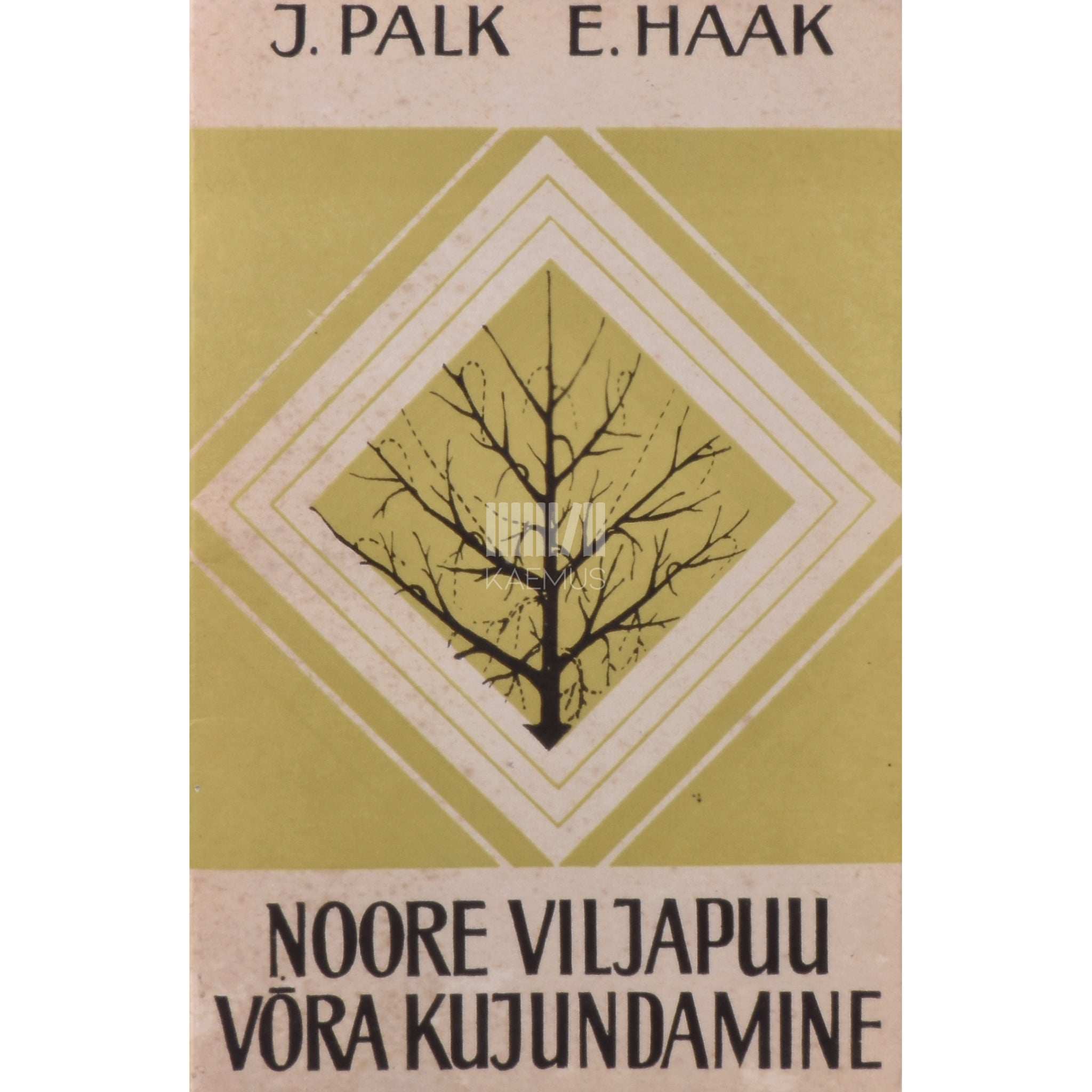 Edgar Haak, Jakob Palk Noore viljapuu võra kujundamine