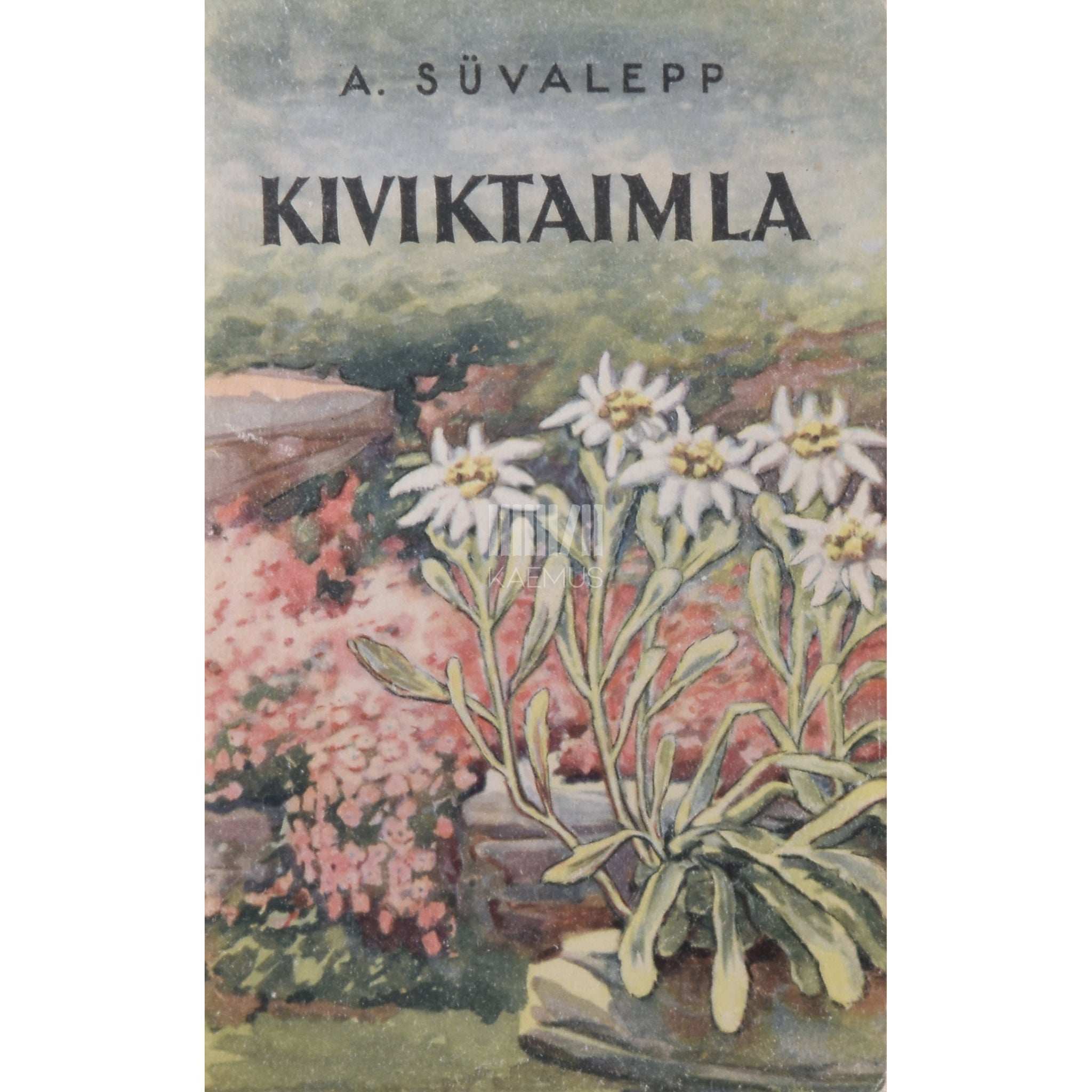 Alli Süvalepp Kiviktaimla