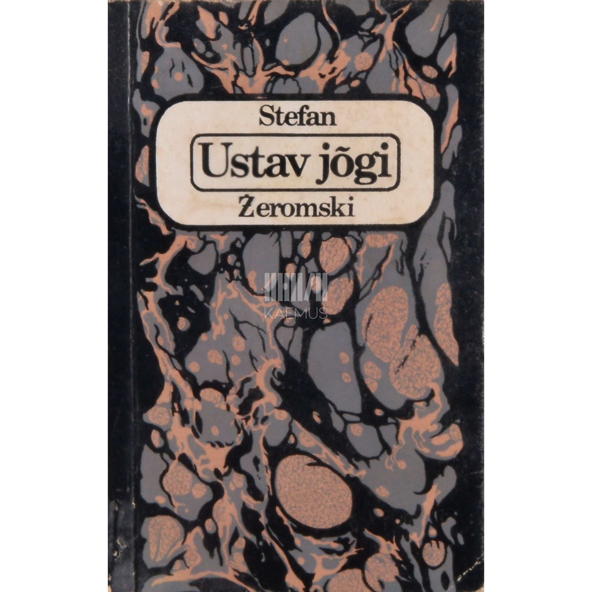 Stefan Žeromski - Ustav jõgi