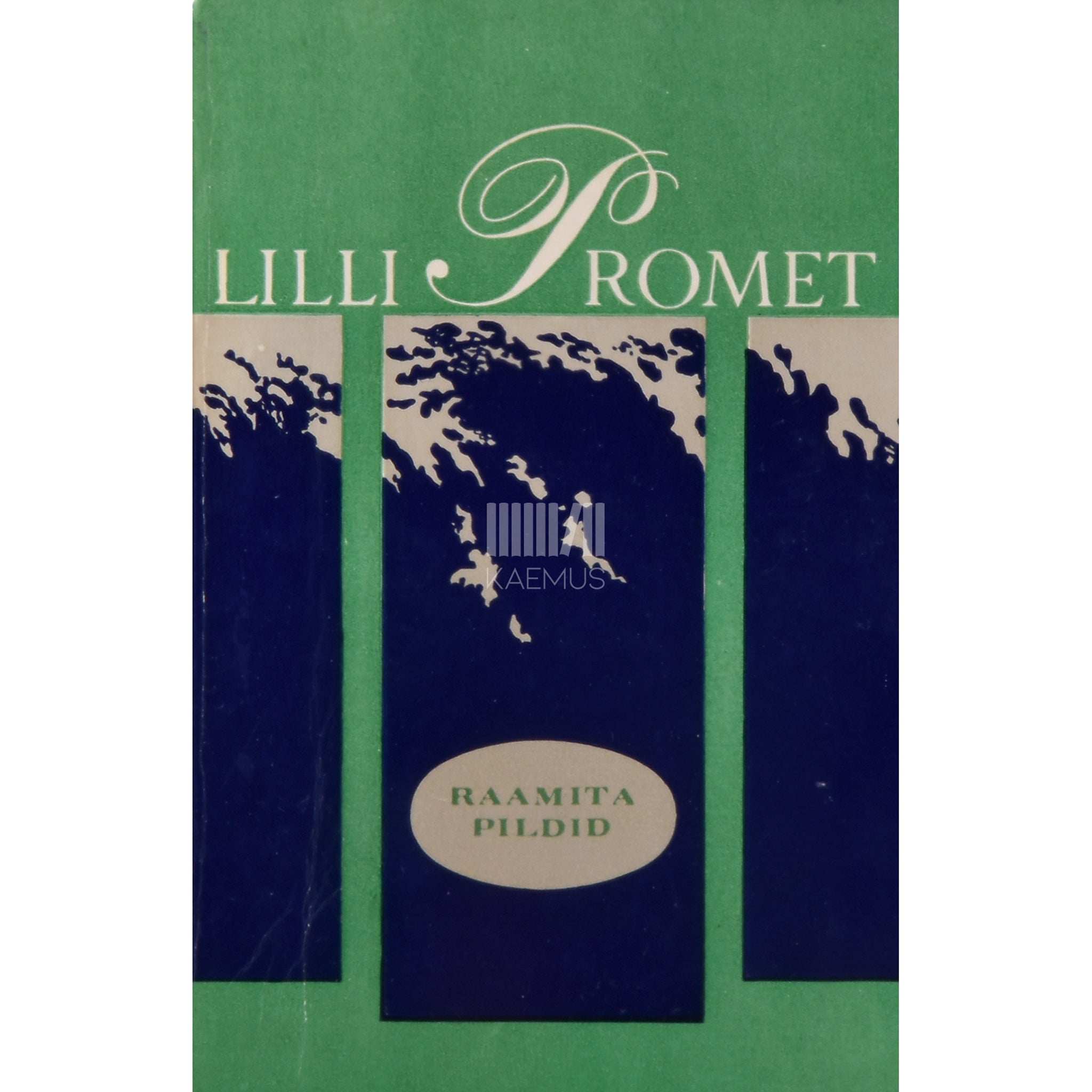 Lilli Promet Raamita pildid. Publitsistikat