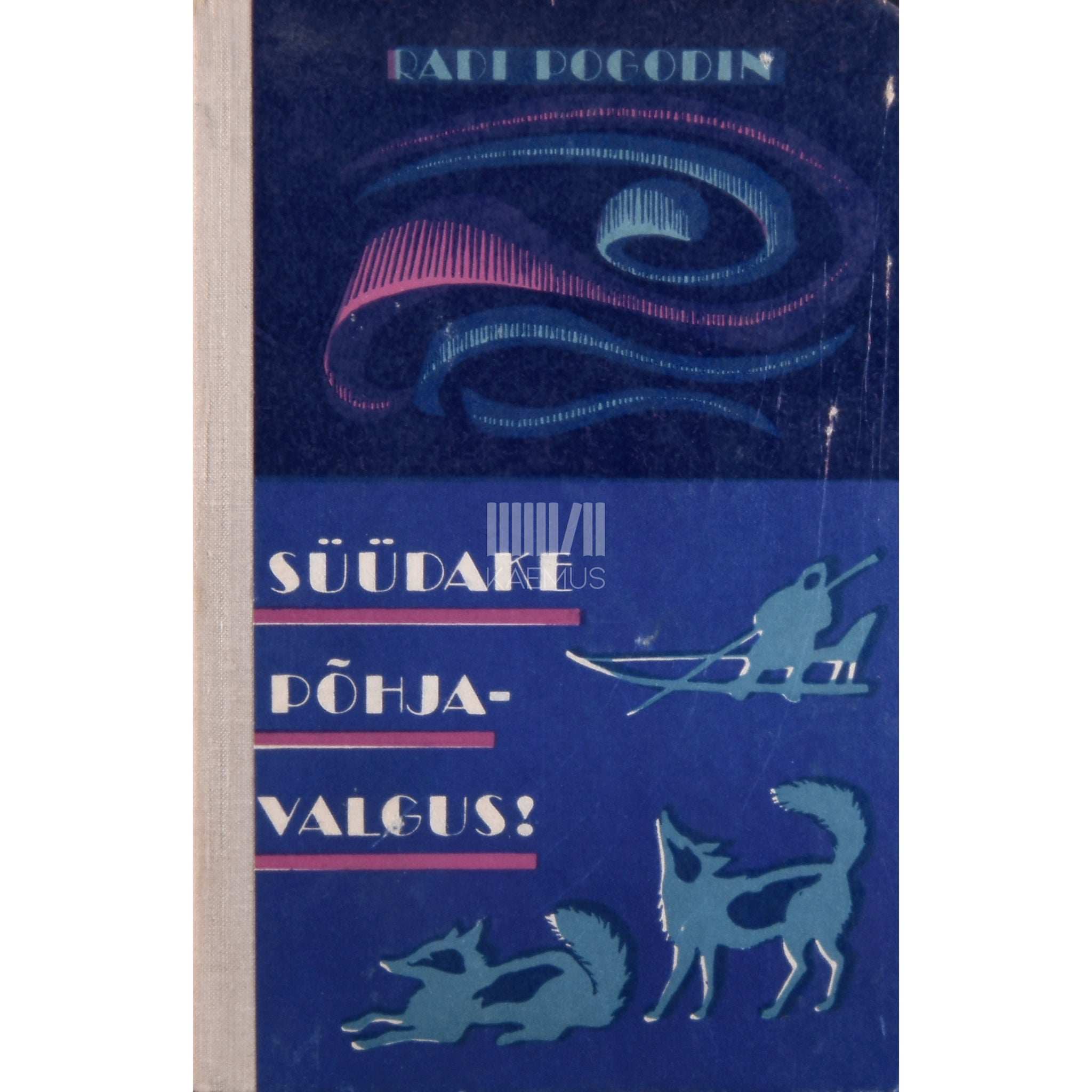 Radi Pogodin Süüdake põhjavalgus!