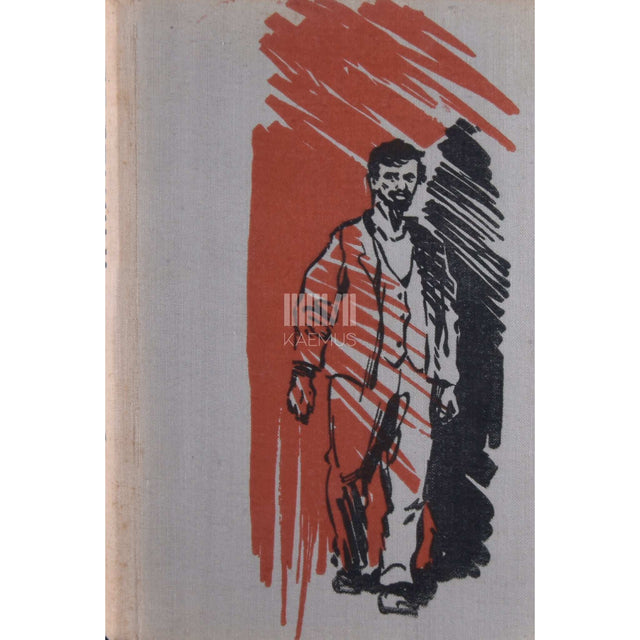 Fjodor Dostojevski - Vaesed inimesed