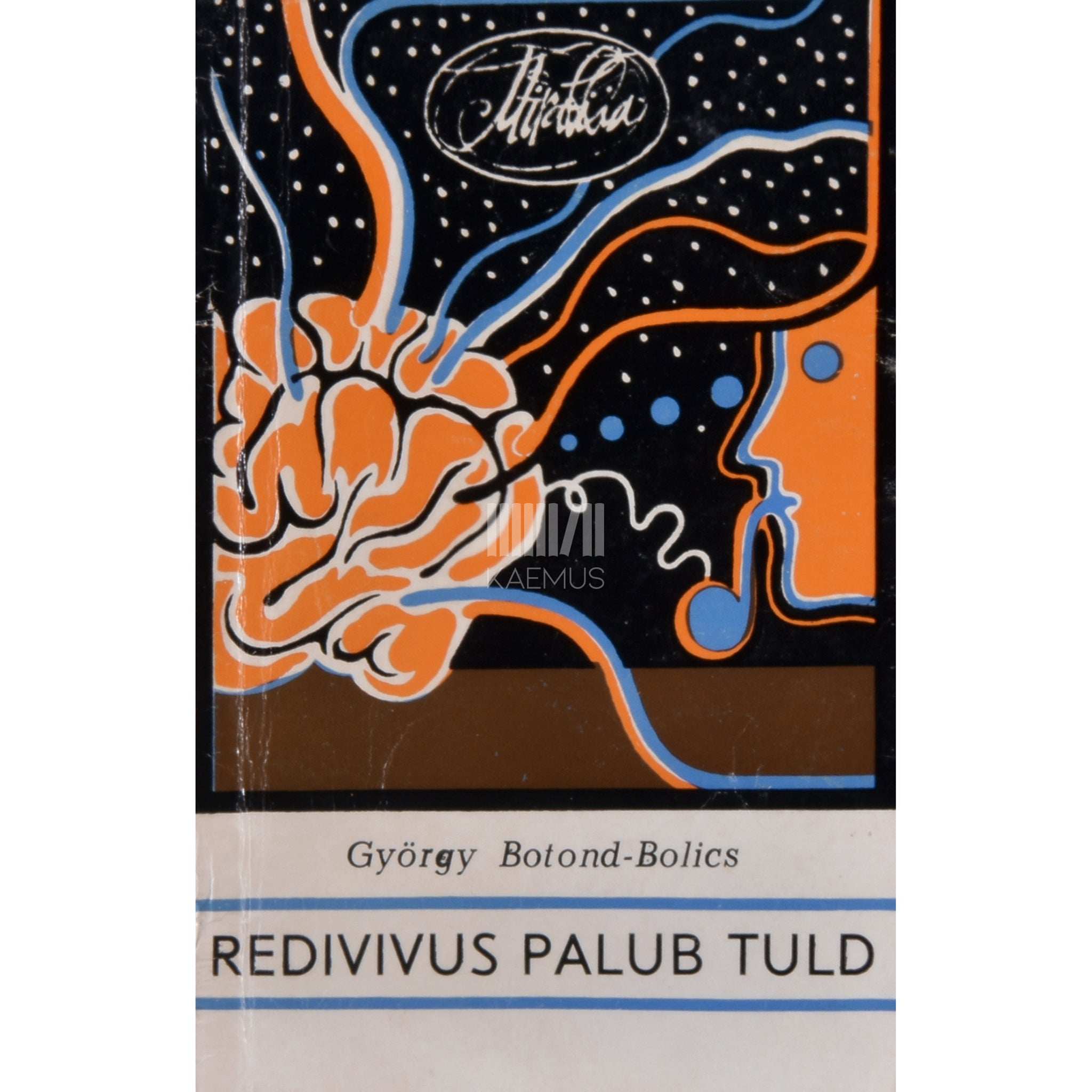 György Botond-Bolics Redivivus palub tuld