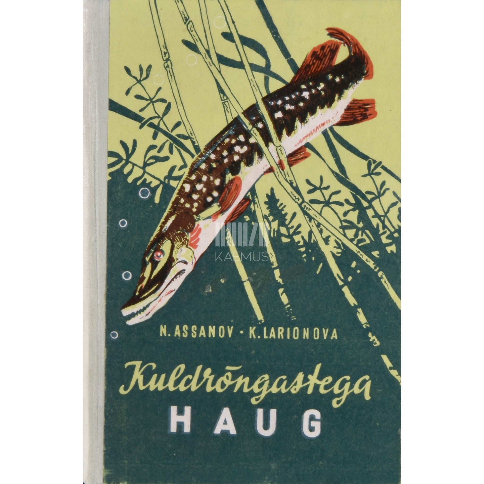 Nikolai Assanov, Klara Larionova - Kuldrõngastega haug