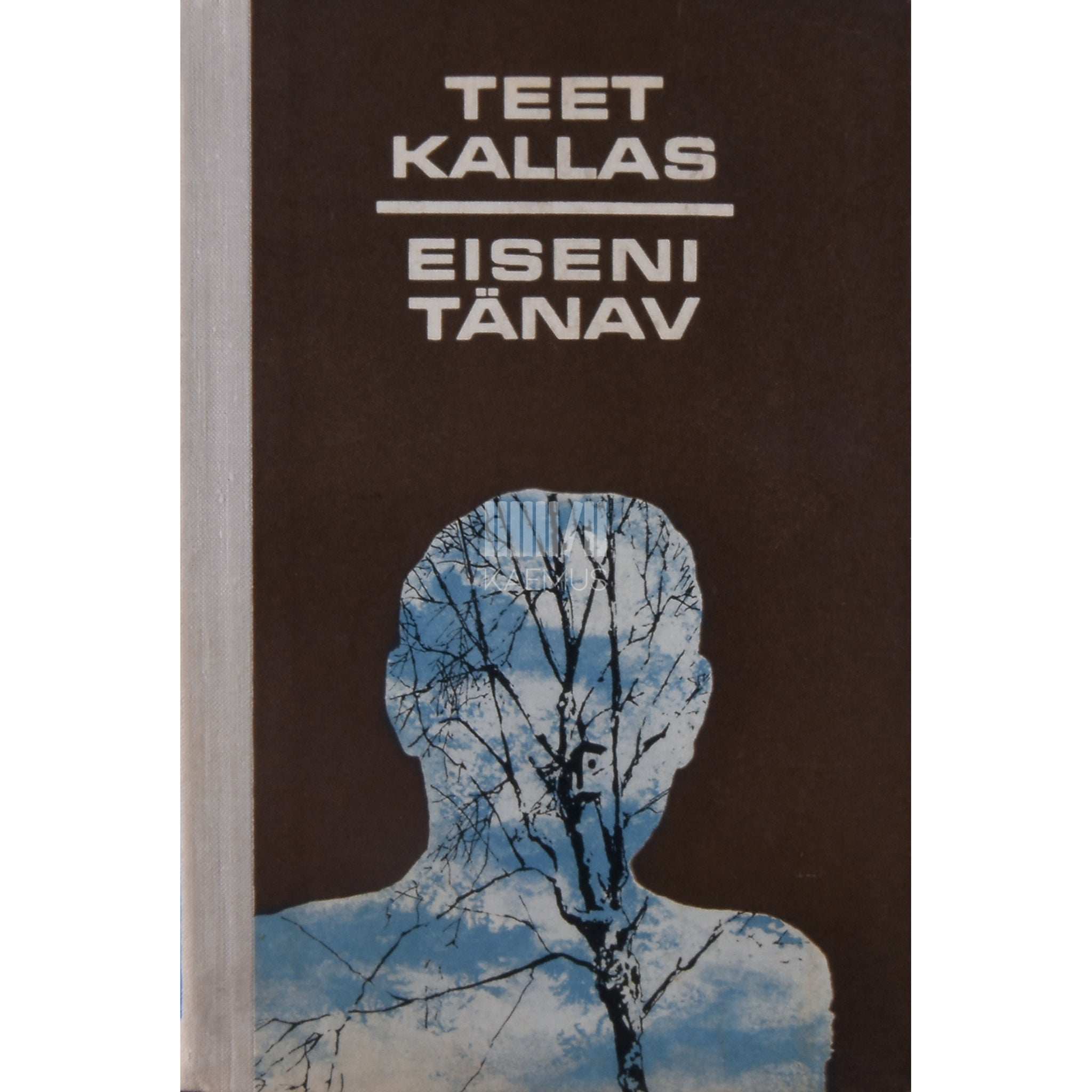 Teet Kallas Eiseni tänav