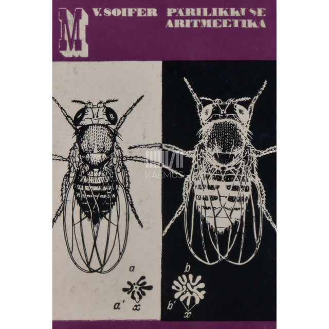 Valeri N. Soifer - Pärilikkuse aritmeetika