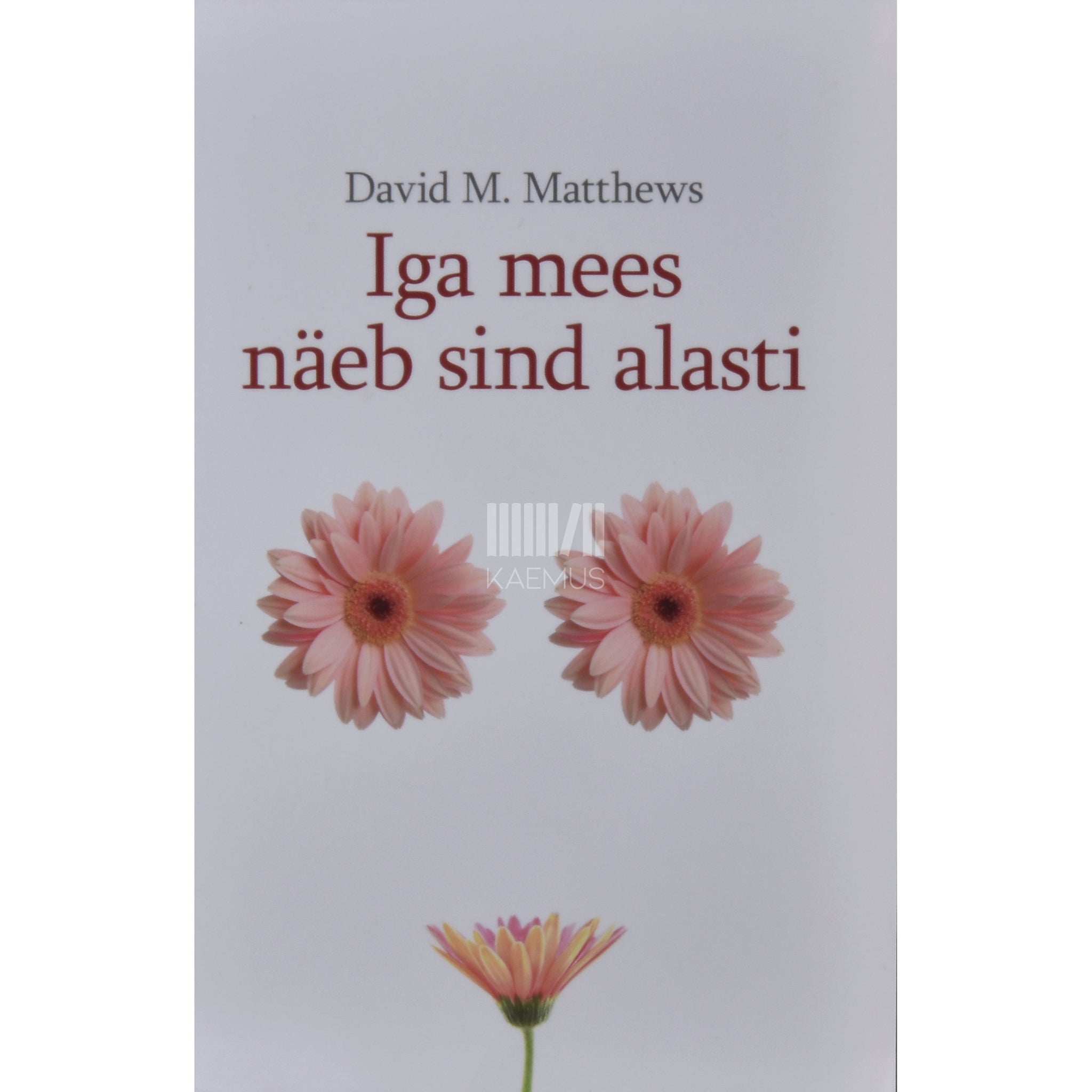 David M. Matthews Iga mees näeb sind alasti. Insaideri teejuht meeste mõttemaailma