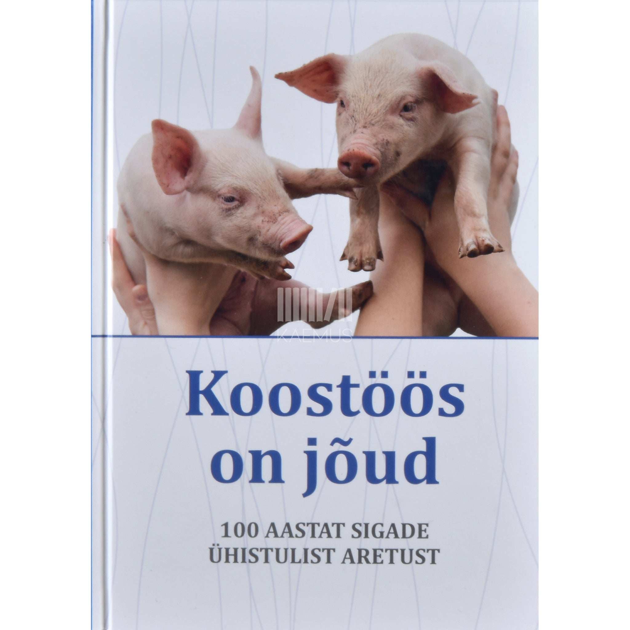 ... Koostöös on jõud. 100 aastat sigade ühistulist aretust