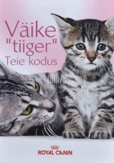 Väike tiiger Teie kodus - Kaemus