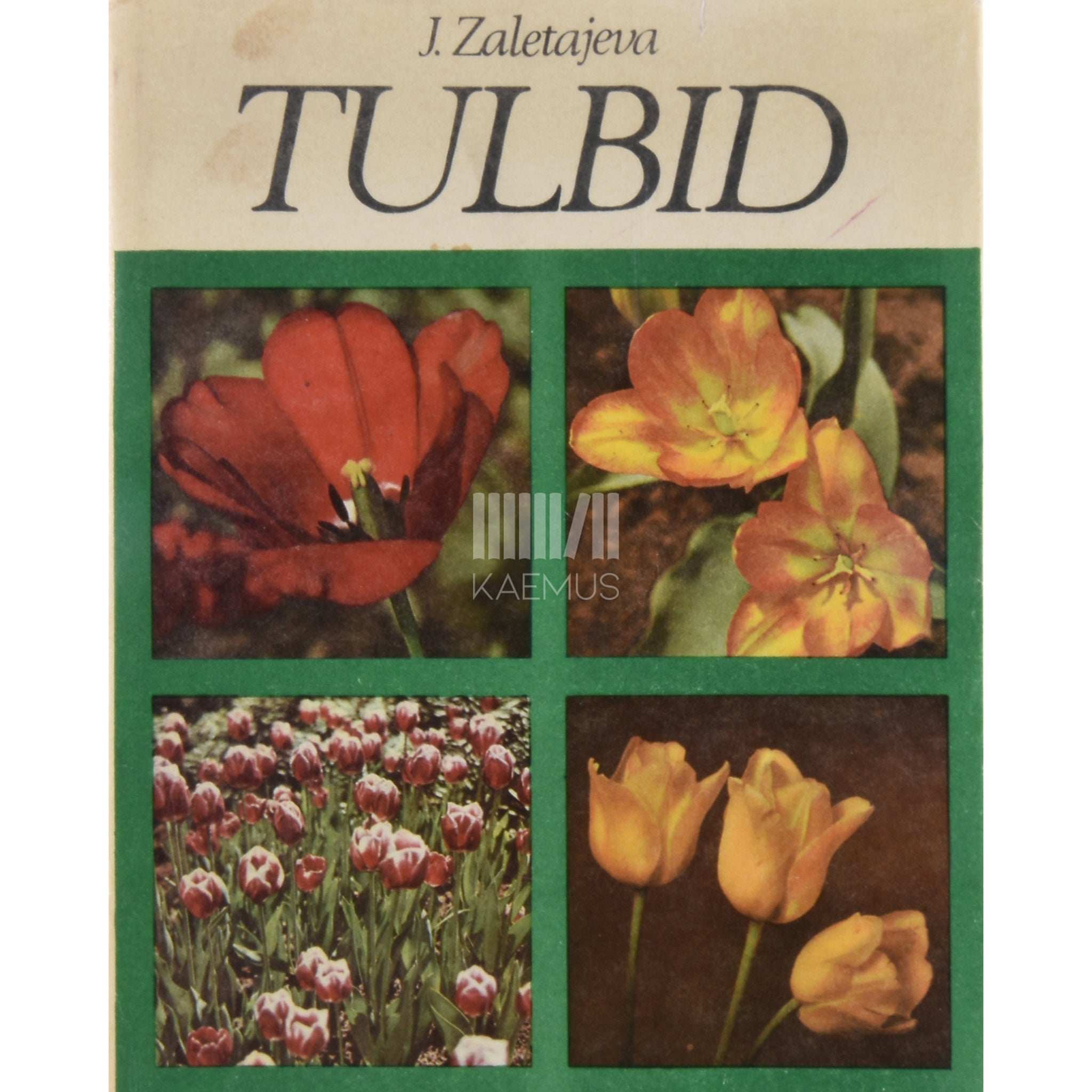 Juta Zaletajeva Tulbid