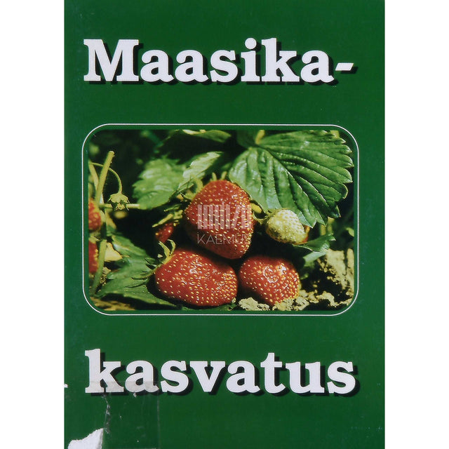 ... - Maasikakasvatus