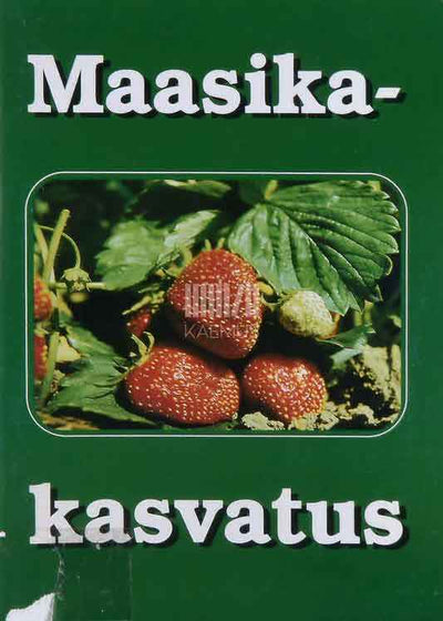 Maasikakasvatus - Kaemus