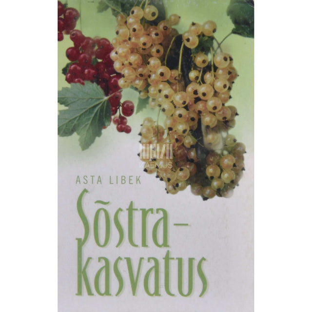 Asta Libek - Sõstrakasvatus