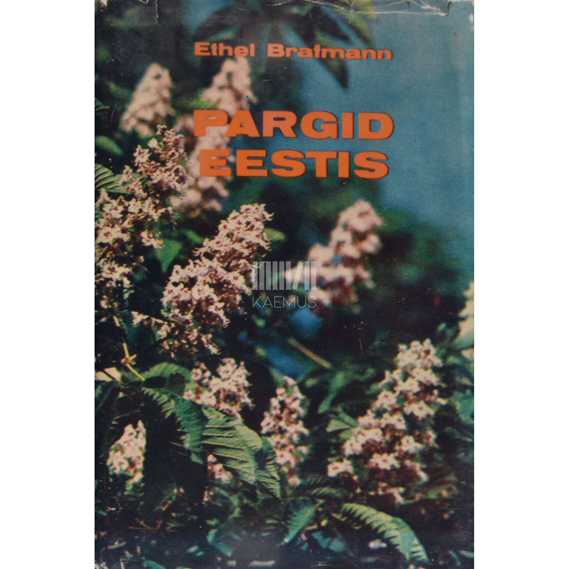 Ethel Brafmann - Pargid Eestis