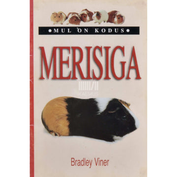 Bradley Viner - Mul on kodus merisiga