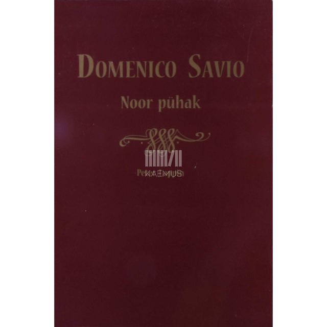 Peter Lappin - Domenico Savio, noor pühak